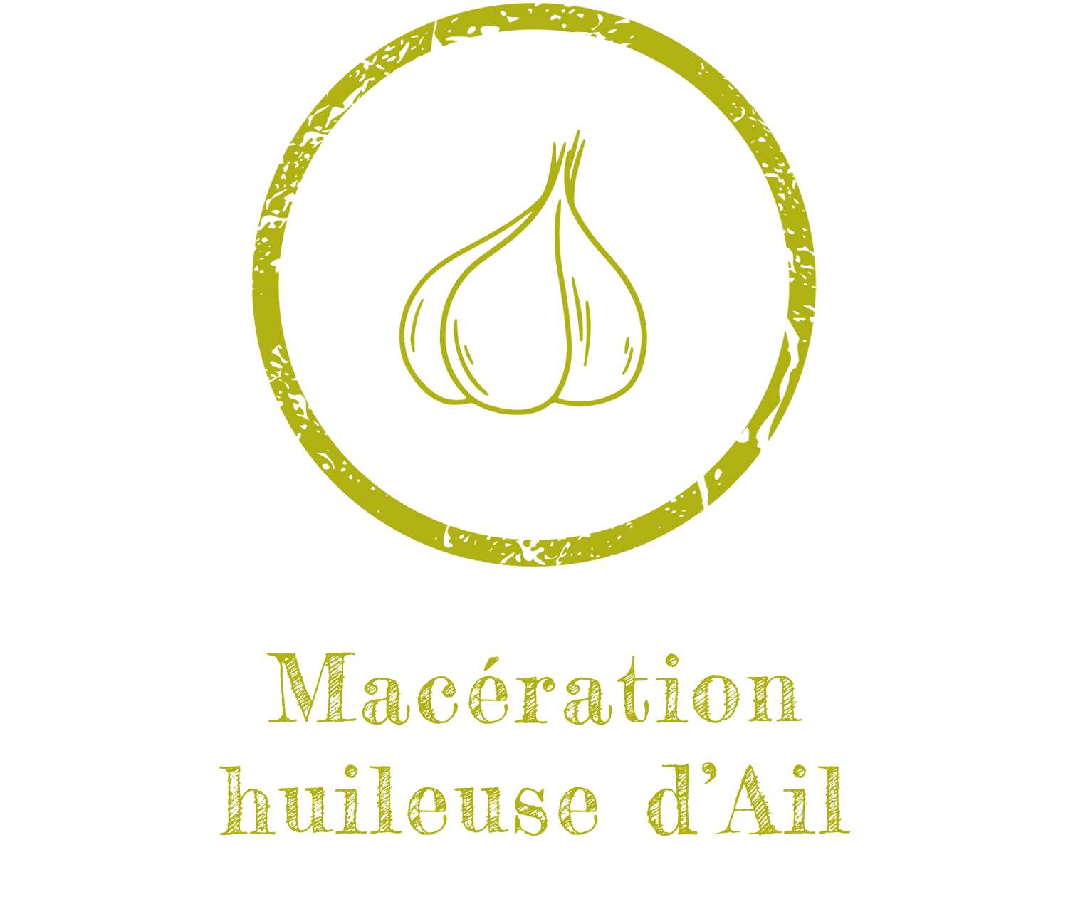 Macération huileuse d’Ail