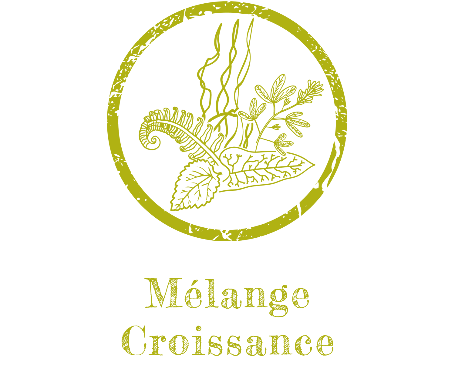 Mélange Croissance