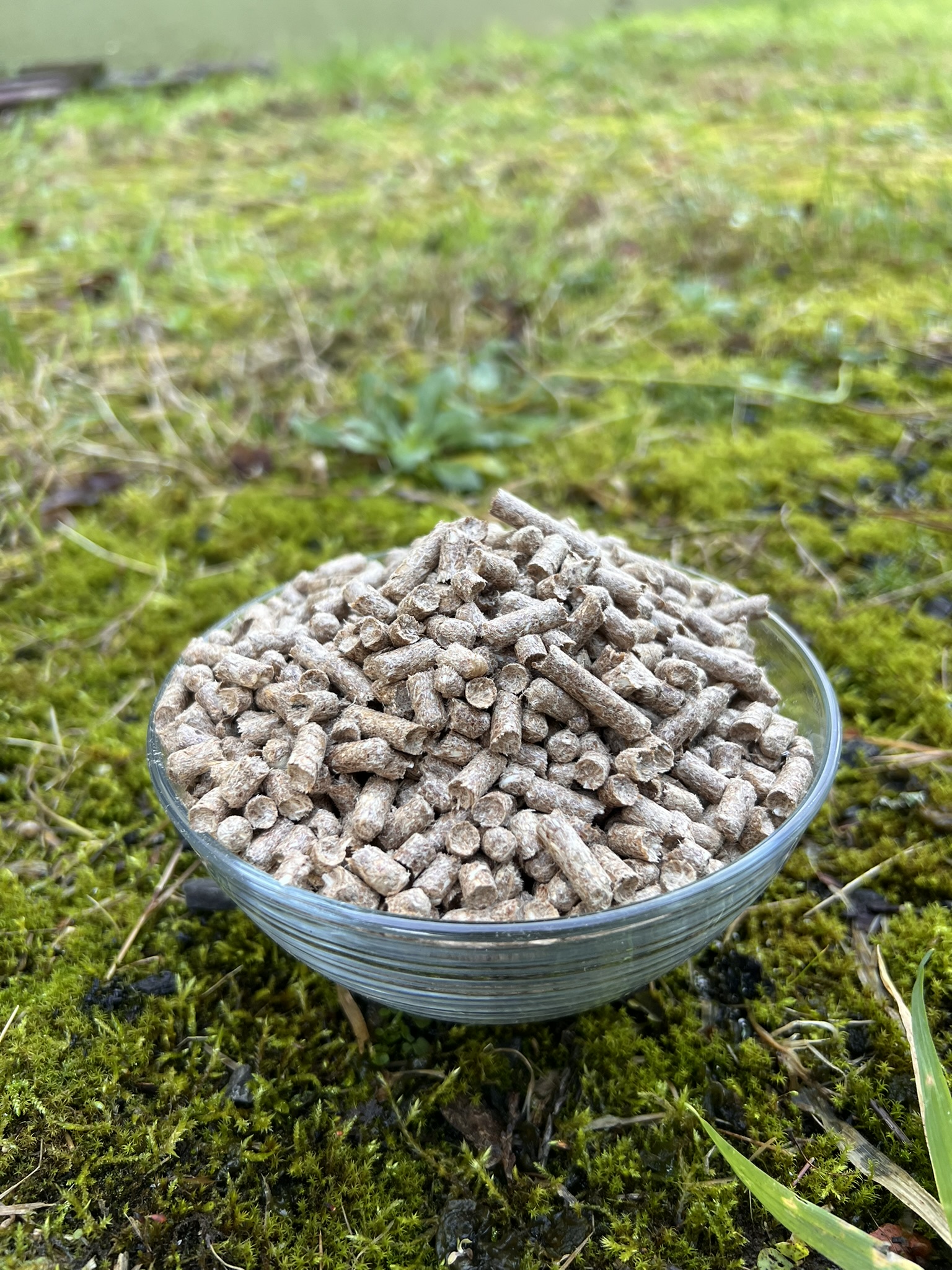 OrgaPlume – Image 2