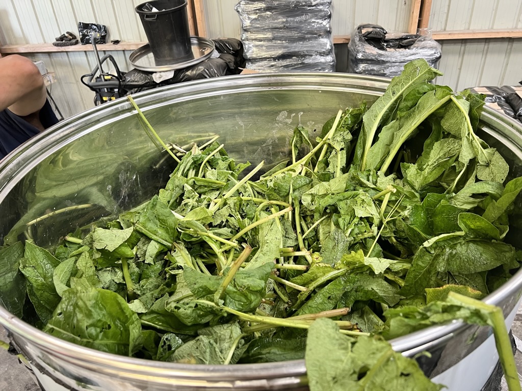 Extrait fermenté de Consoude – Image 3