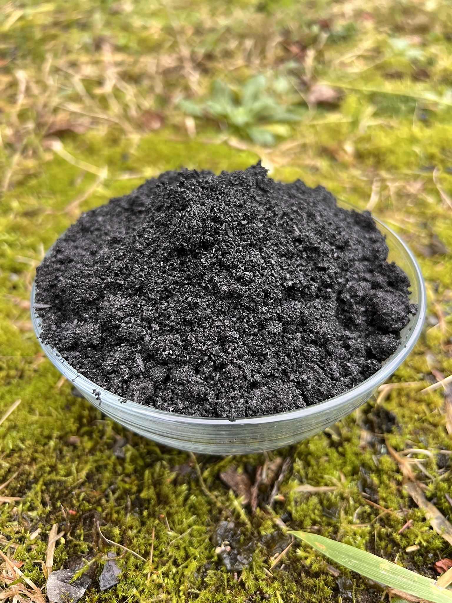 BIOCHAR – Image 4