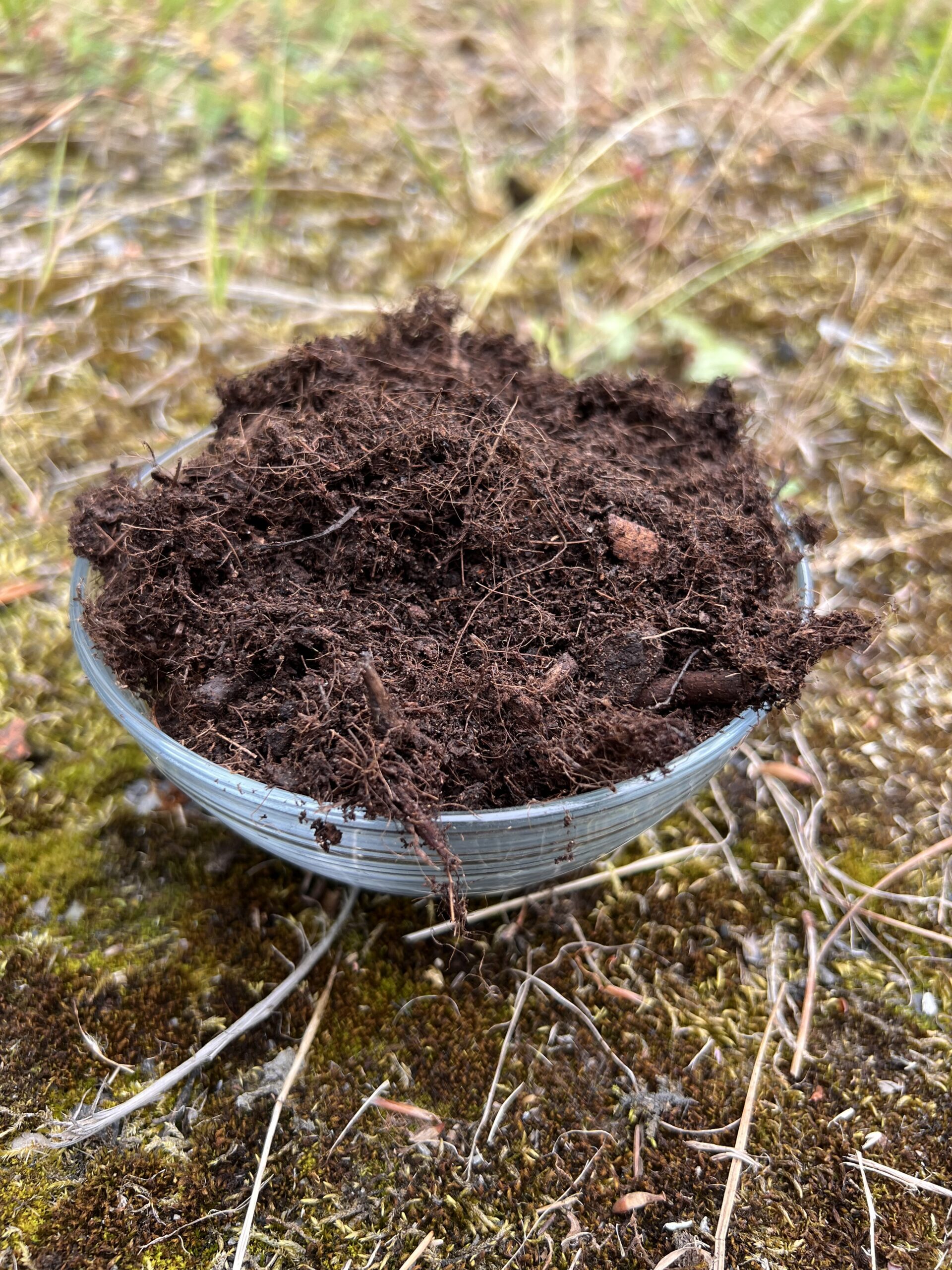 TERRAMIX – Image 2